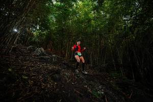 BIB: 
                            <button type="button" onclick="openModal(25096061)" class="btn btn-primary btn-sm float-right btn-popup" data-toggle="modal" data-target=".modal-high-quality">
                        <i class="fas fa-shopping-cart"></i> Add to Cart
                    </button>
                                            <button type="button" onclick="isThisMe(25096061, true)" class="btn btn-success btn-sm float-right btn-popup btn-isme hidden" data-toggle="tooltip" data-placement="bottom" title="นี่คือรูปของคุณใช่ไหม คลิกที่นี่เพื่อเอาเข้าอัลบั้ม">
                        <i class="fas fa-plus"></i> Add to album
                    </button>
                    <button type="button" onclick="isThisMe(25096061, false)" class="btn btn-warning btn-sm float-right btn-popup btn-isnotme hidden">
                        <i class="fas fa-ban"></i> Remove from album
                    </button>